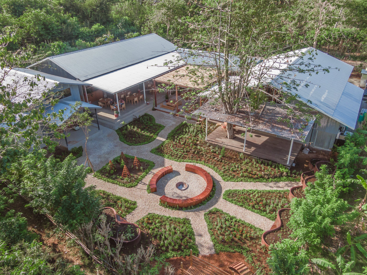 Alchemy Restaurant Is Climate Neutral Certified